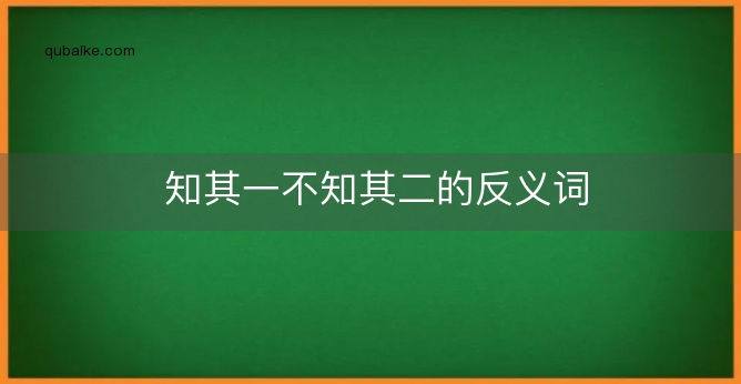 知其一不知其二的反义词