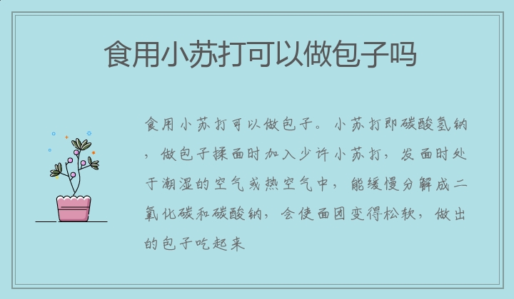 食用小苏打可以做包子吗