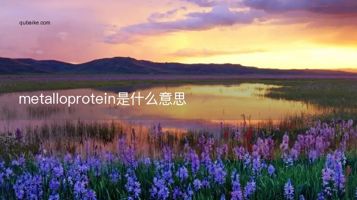 metalloprotein是什么意思