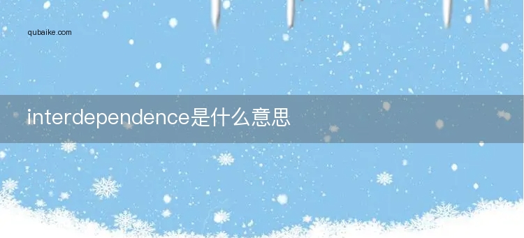 interdependence是什么意思