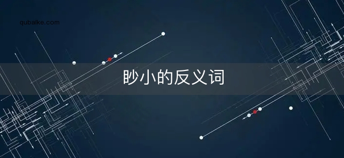 眇小的反义词