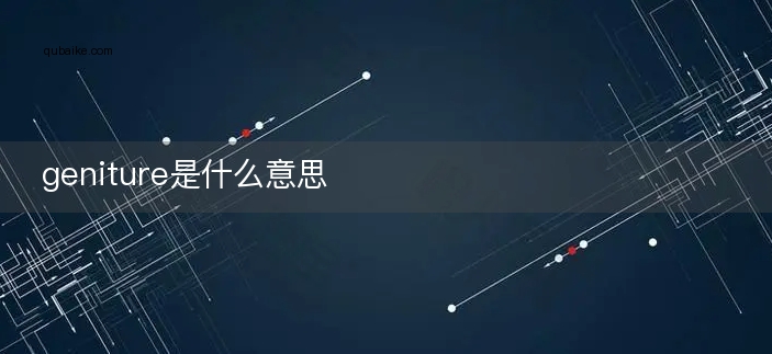 geniture是什么意思