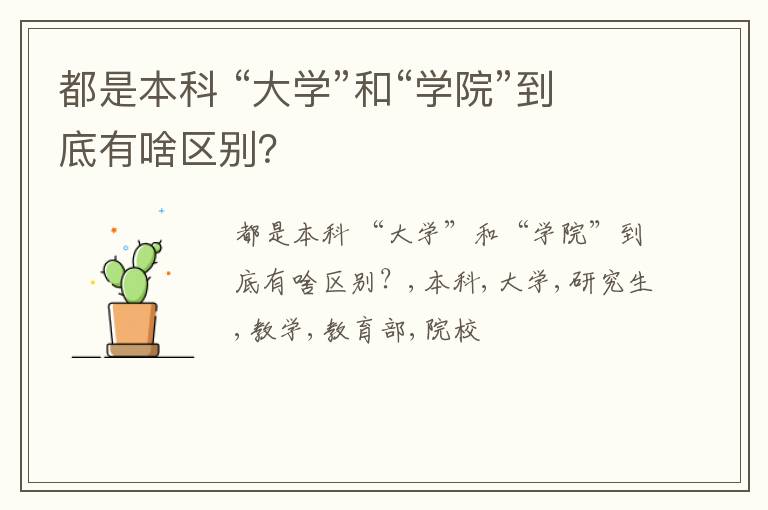 都是本科 “大学”和“学院”到底有啥区别？