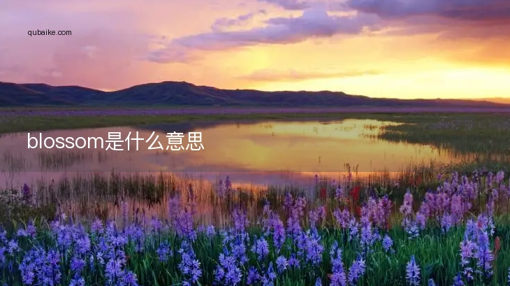 blossom是什么意思