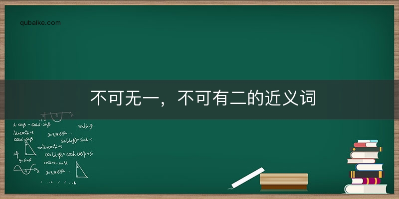 不可无一，不可有二的近义词