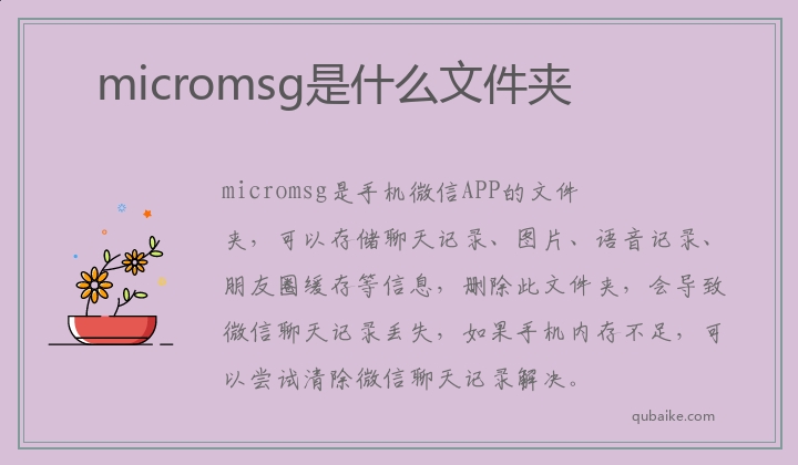 micromsg是什么文件夹