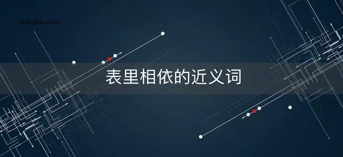 表里相依的近义词