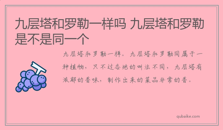 九层塔和罗勒一样吗 九层塔和罗勒是不是同一个