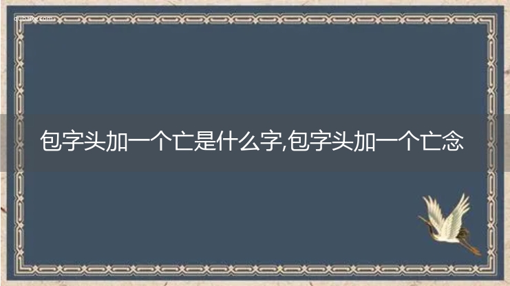 包字头加一个亡是什么字,包字头加一个亡念什么