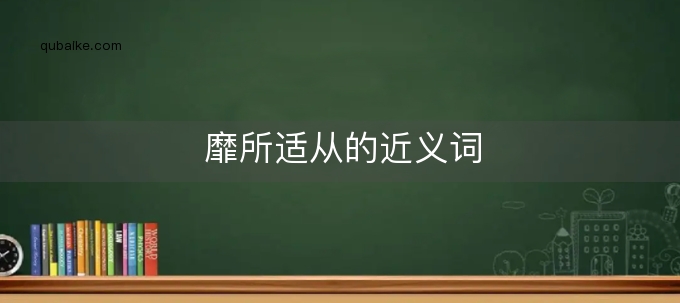 靡所适从的近义词