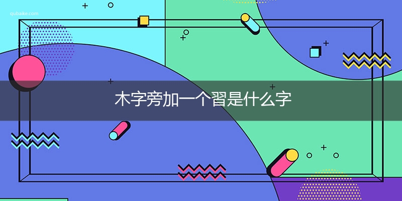 木字旁加一个習是什么字,木字旁加一个習念什么