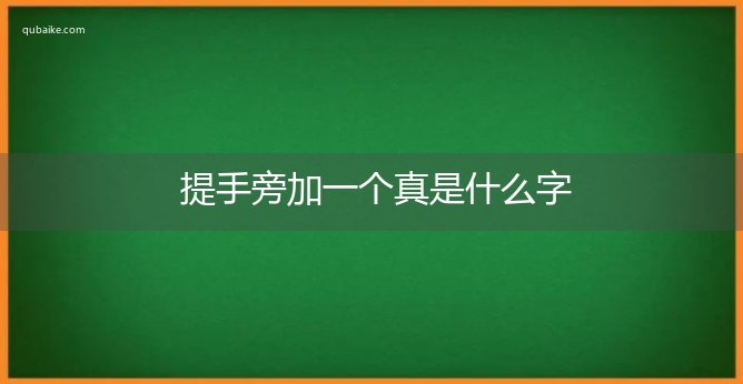 提手旁加一个真是什么字,提手旁加一个真念什么