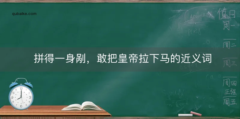 拼得一身剐，敢把皇帝拉下马的近义词