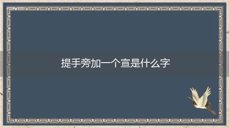 提手旁加一个宣是什么字,提手旁加一个宣念什么