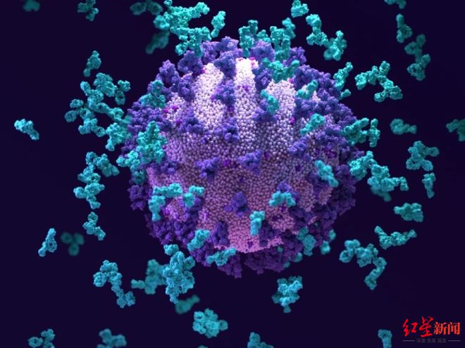 时隔2年，美国“新冠超级免疫者”再受关注！真有超级抗体么？科学家们一直在寻找答案