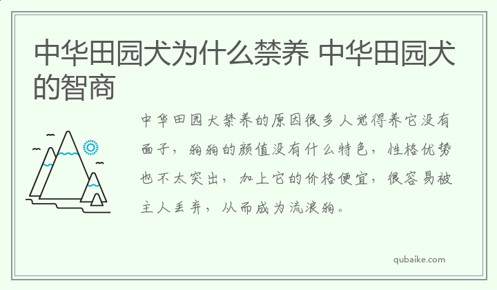 中华田园犬为什么禁养 中华田园犬的智商