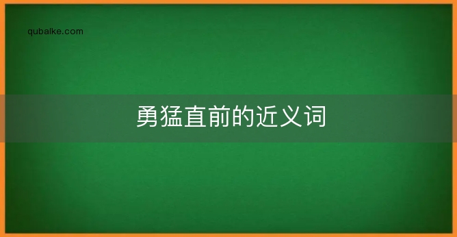 勇猛直前的近义词