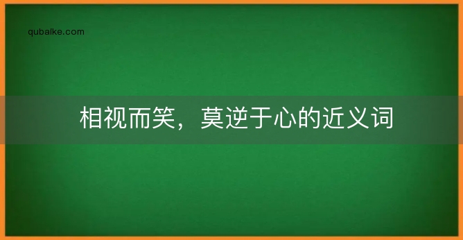 相视而笑，莫逆于心的近义词