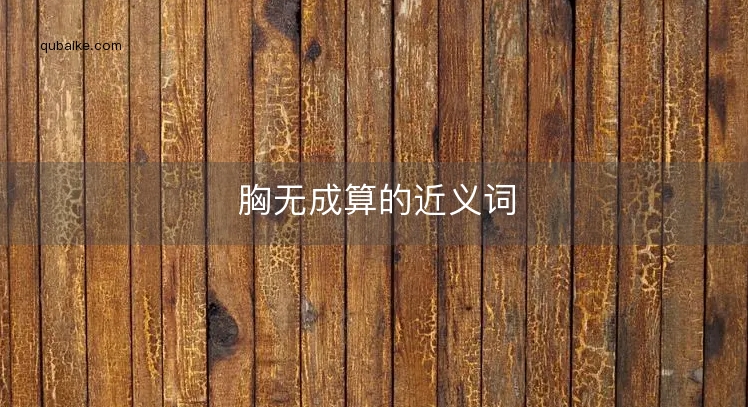 胸无成算的近义词