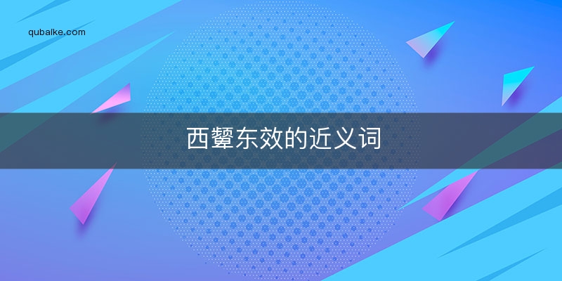 西颦东效的近义词