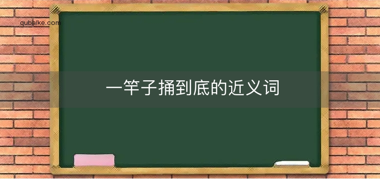 一竿子捅到底的近义词