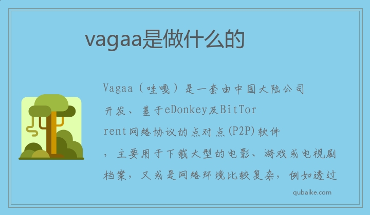 vagaa是做什么的