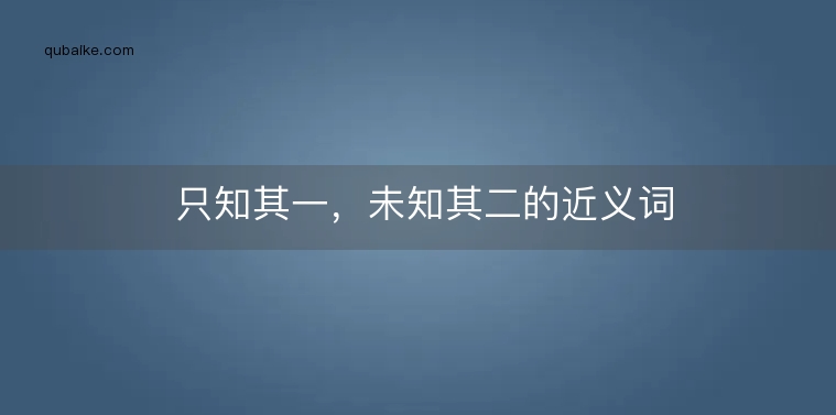 只知其一，未知其二的近义词