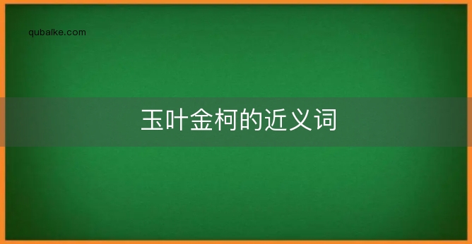 玉叶金柯的近义词