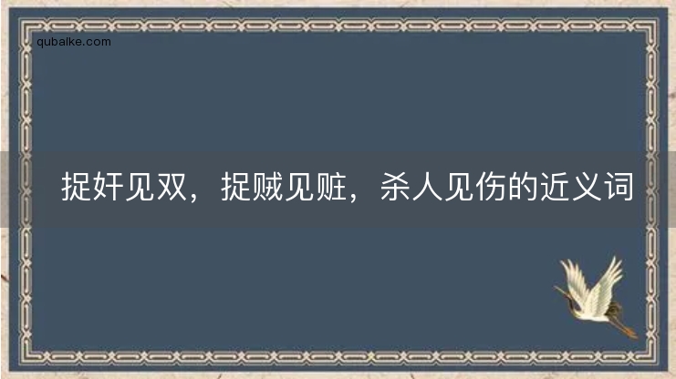 捉奸见双，捉贼见赃，杀人见伤的近义词