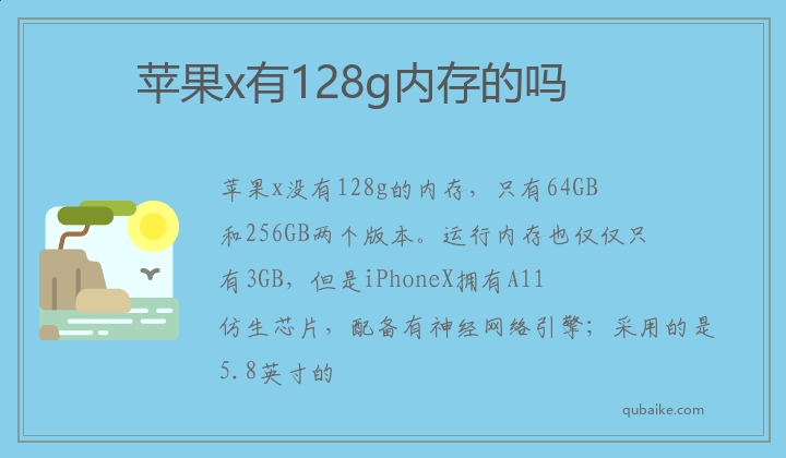 苹果x有128g内存的吗