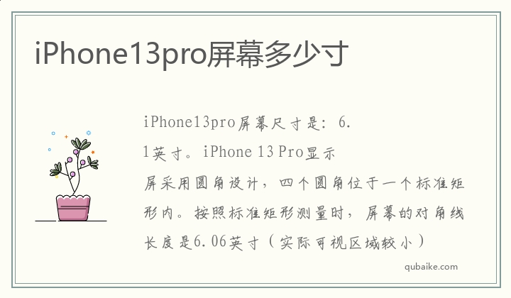 iPhone13pro屏幕多少寸