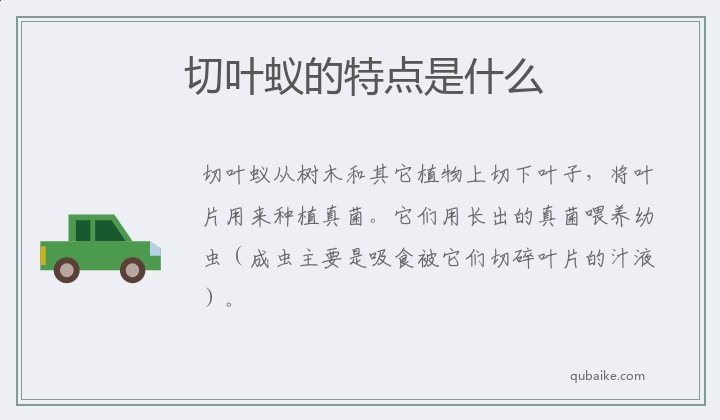 切叶蚁的特点是什么