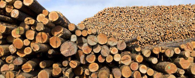 清香木材怎么保存不发霉 木材要怎么才不会发霉