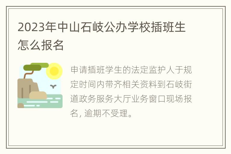 2023年中山石岐公办学校插班生怎么报名