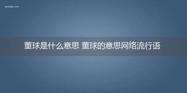 董球是什么意思 董球的意思网络流行语