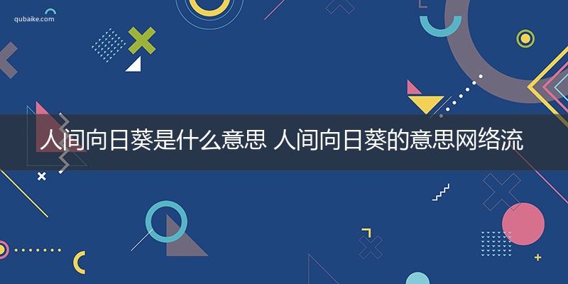 人间向日葵是什么意思 人间向日葵的意思网络流行语