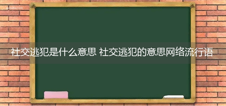 社交逃犯是什么意思 社交逃犯的意思网络流行语