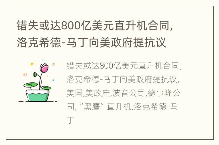 错失或达800亿美元直升机合同，洛克希德-马丁向美政府提抗议