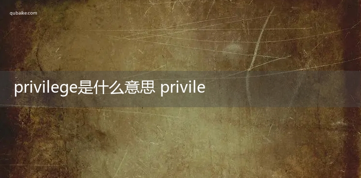 privilege是什么意思 privilege的意思网络流行语