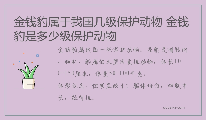 金钱豹属于我国几级保护动物 金钱豹是多少级保护动物