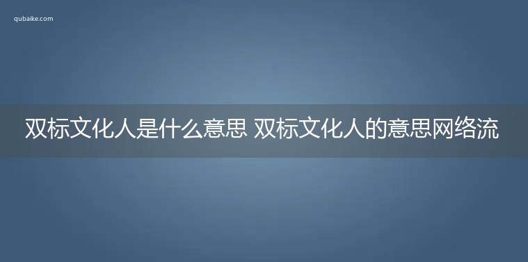 双标文化人是什么意思 双标文化人的意思网络流行语