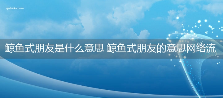 鲸鱼式朋友是什么意思 鲸鱼式朋友的意思网络流行语