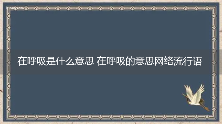 在呼吸是什么意思 在呼吸的意思网络流行语