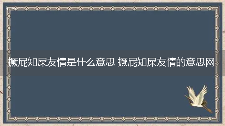 撅屁知屎友情是什么意思 撅屁知屎友情的意思网络流行语