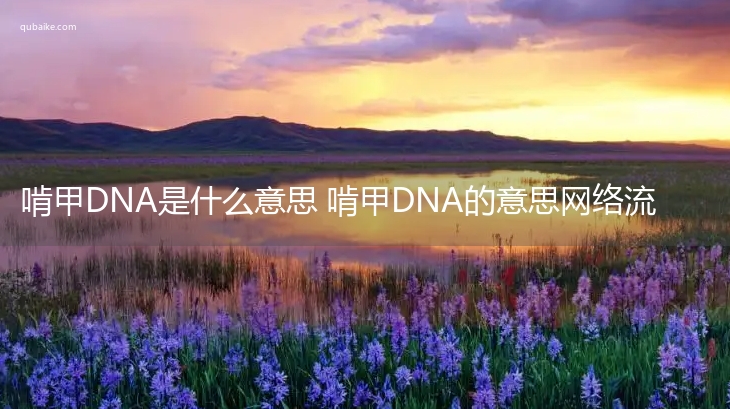 啃甲DNA是什么意思 啃甲DNA的意思网络流行语