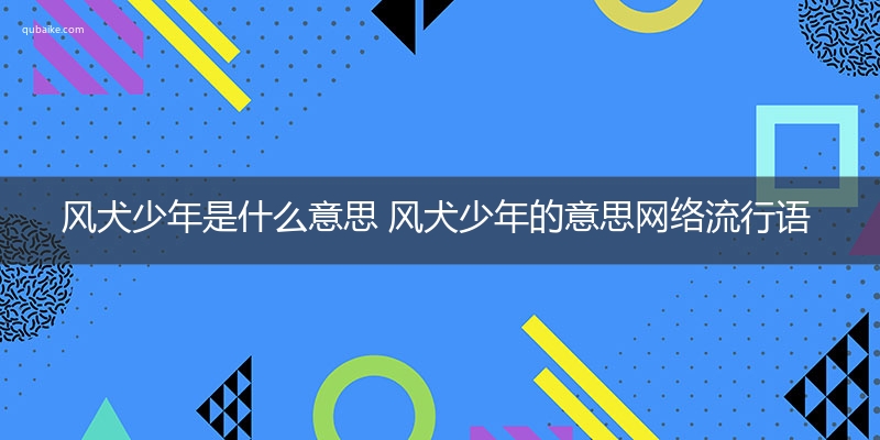 风犬少年是什么意思 风犬少年的意思网络流行语