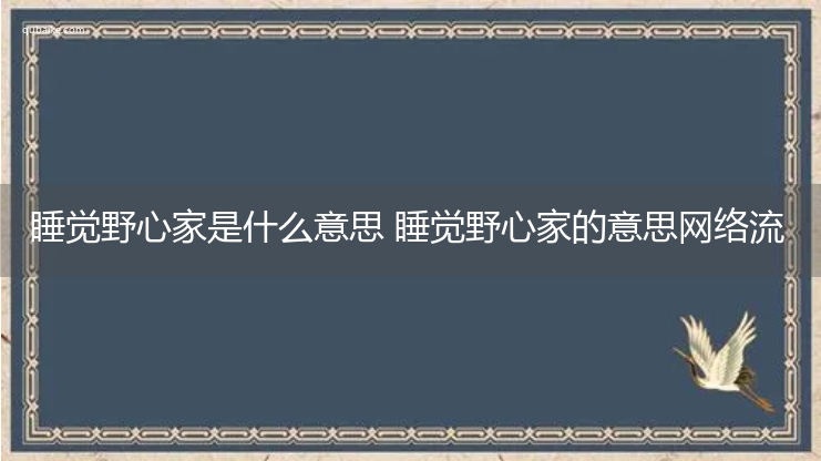 睡觉野心家是什么意思 睡觉野心家的意思网络流行语