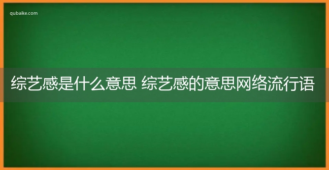 综艺感是什么意思 综艺感的意思网络流行语