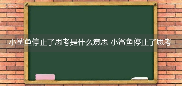 小鲨鱼停止了思考是什么意思 小鲨鱼停止了思考的意思网络流行语