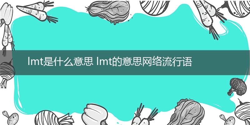 lmt是什么意思 lmt的意思网络流行语